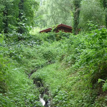 Ferienhaus Natura Neuruppin Zimmer foto