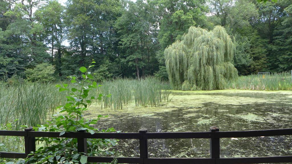 Ferienhaus Natura Neuruppin